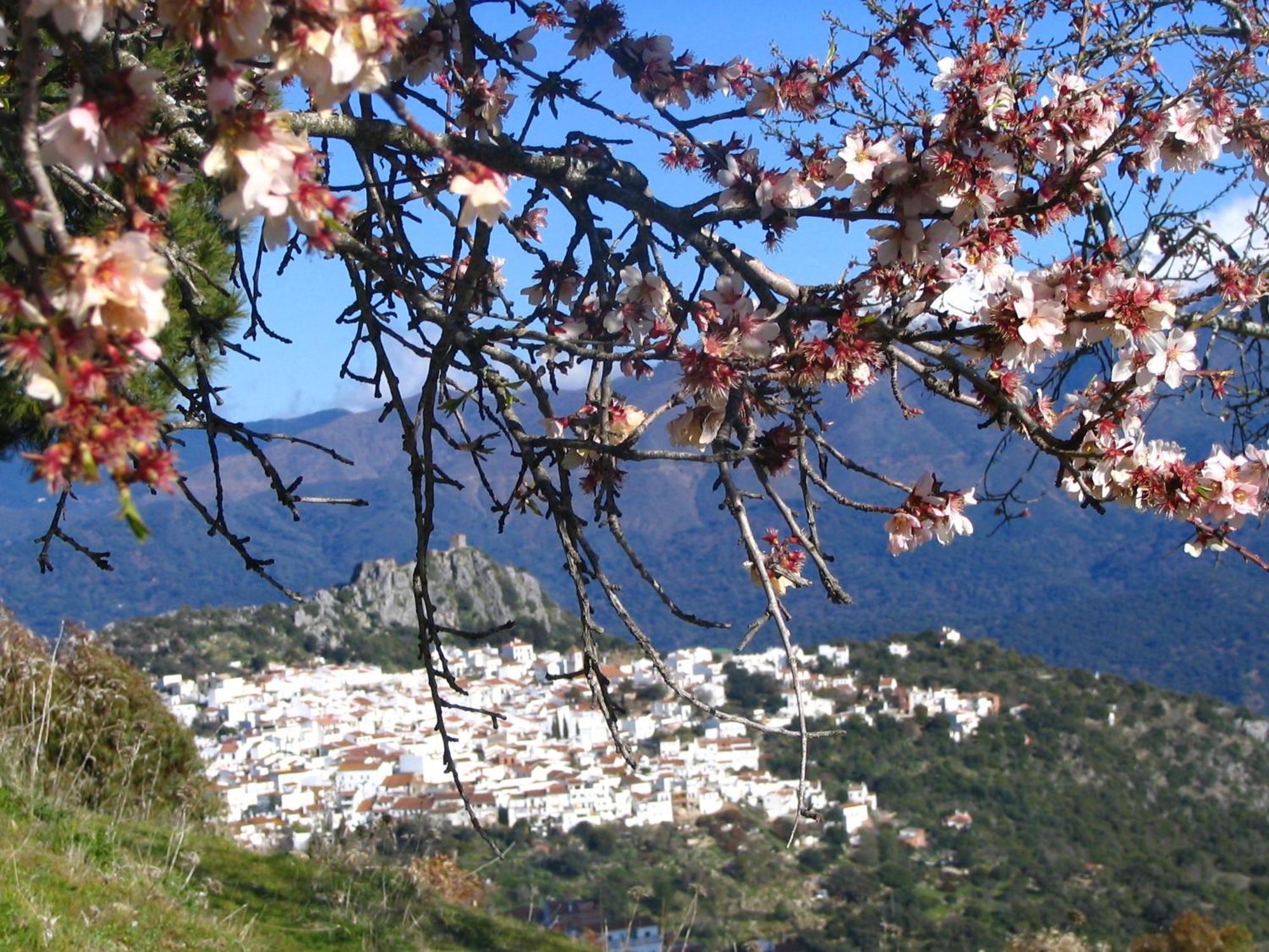 Hotel La Fructuosa